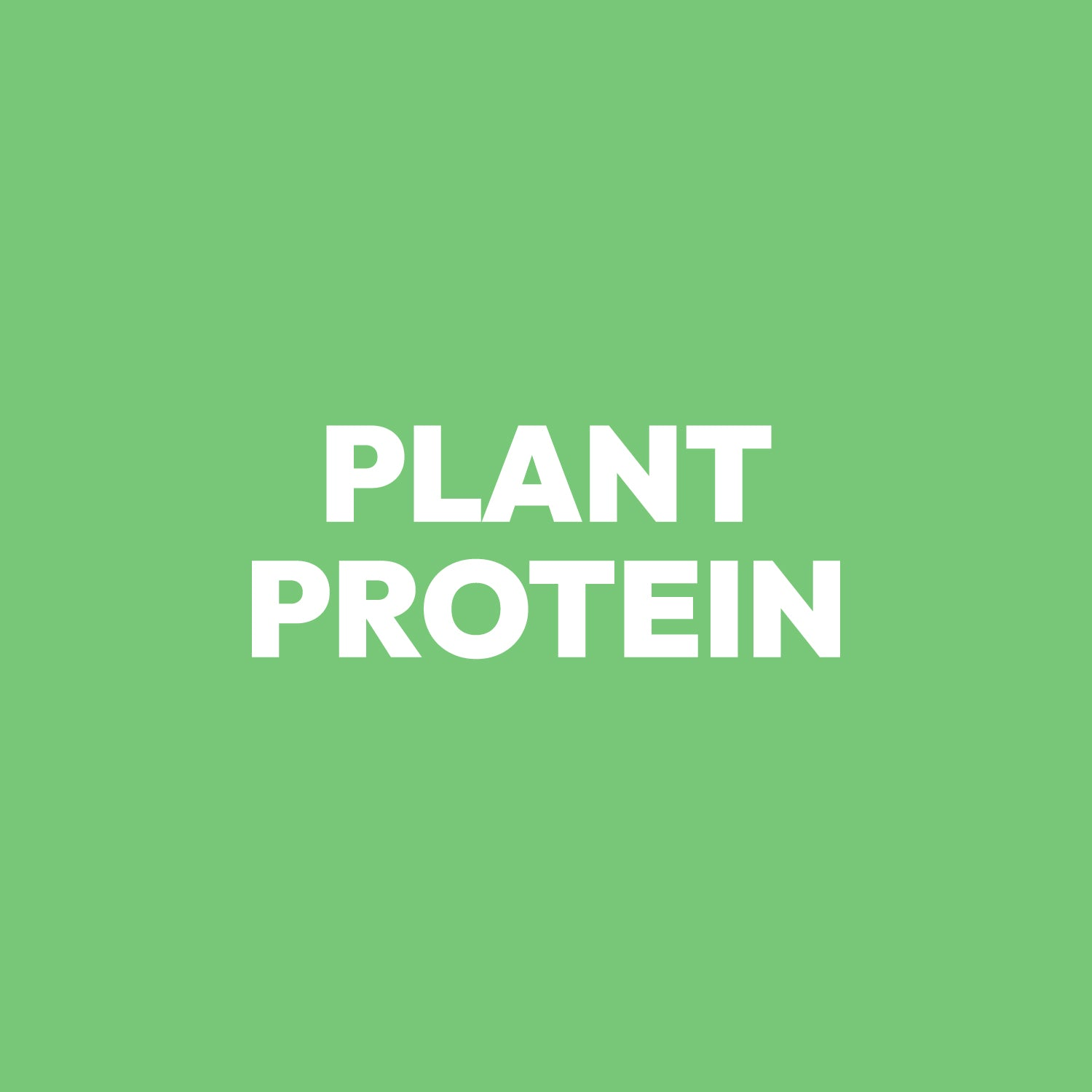 Plant Protein - Choc Peanut Butter