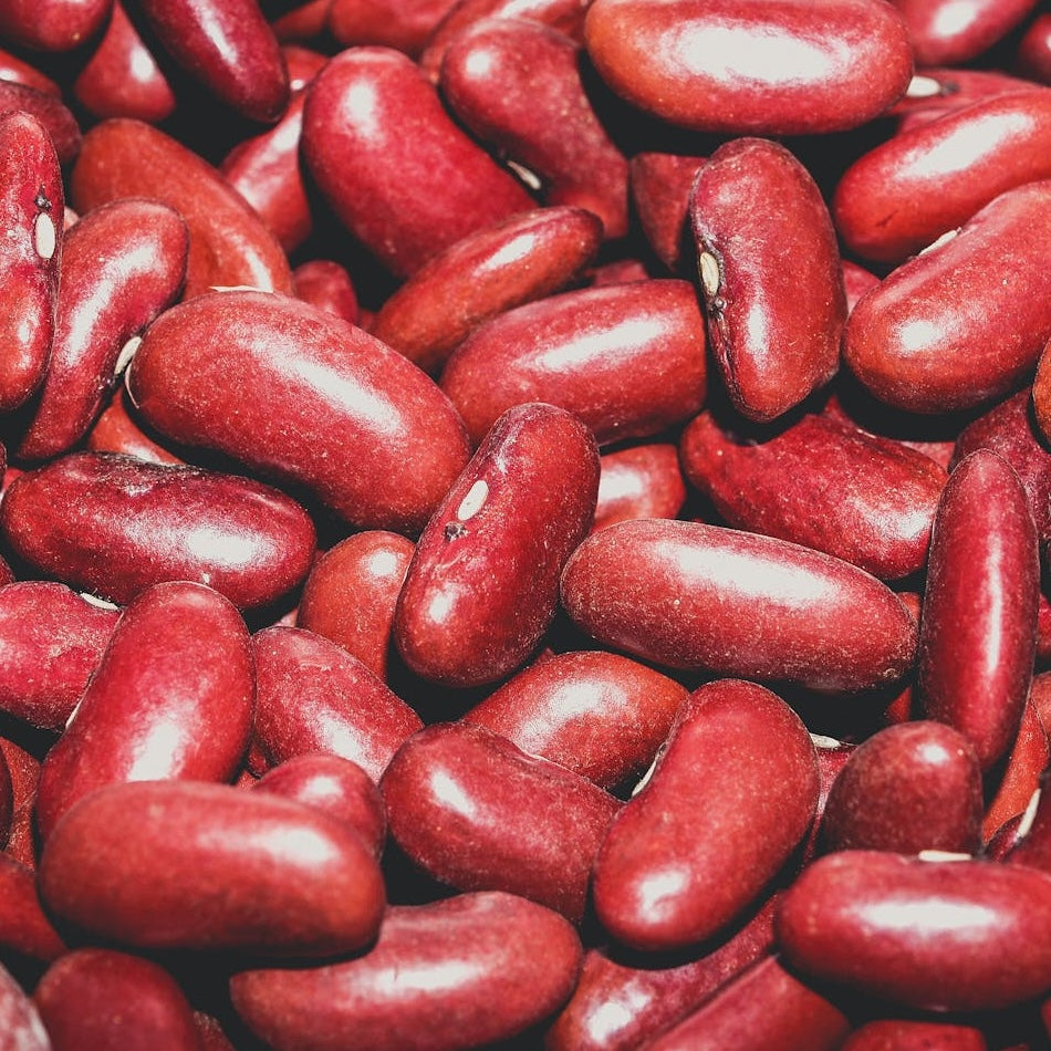 Plant Based Sources of Protein: Complete Food List