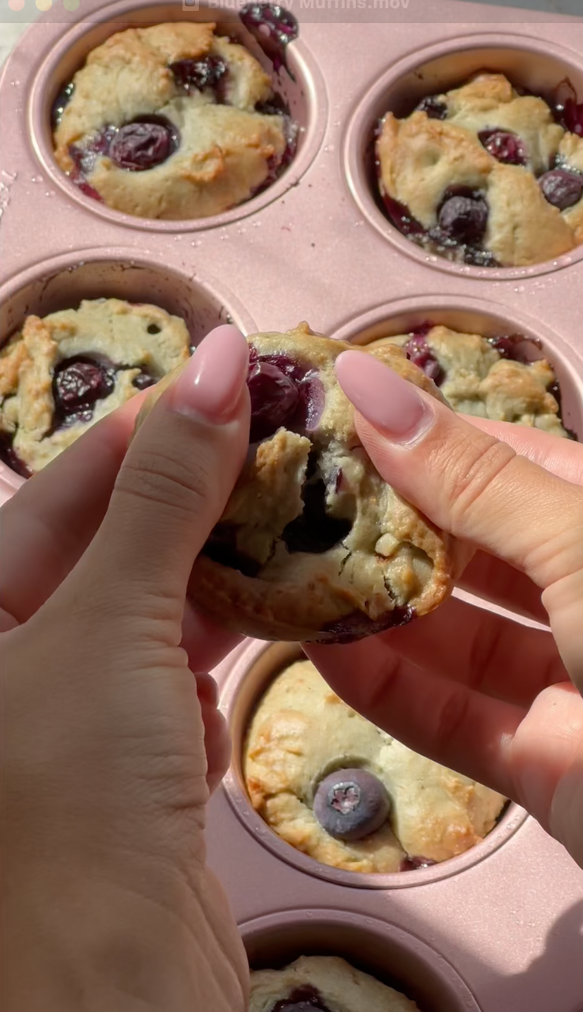 Vegan Blueberry Protein Muffins