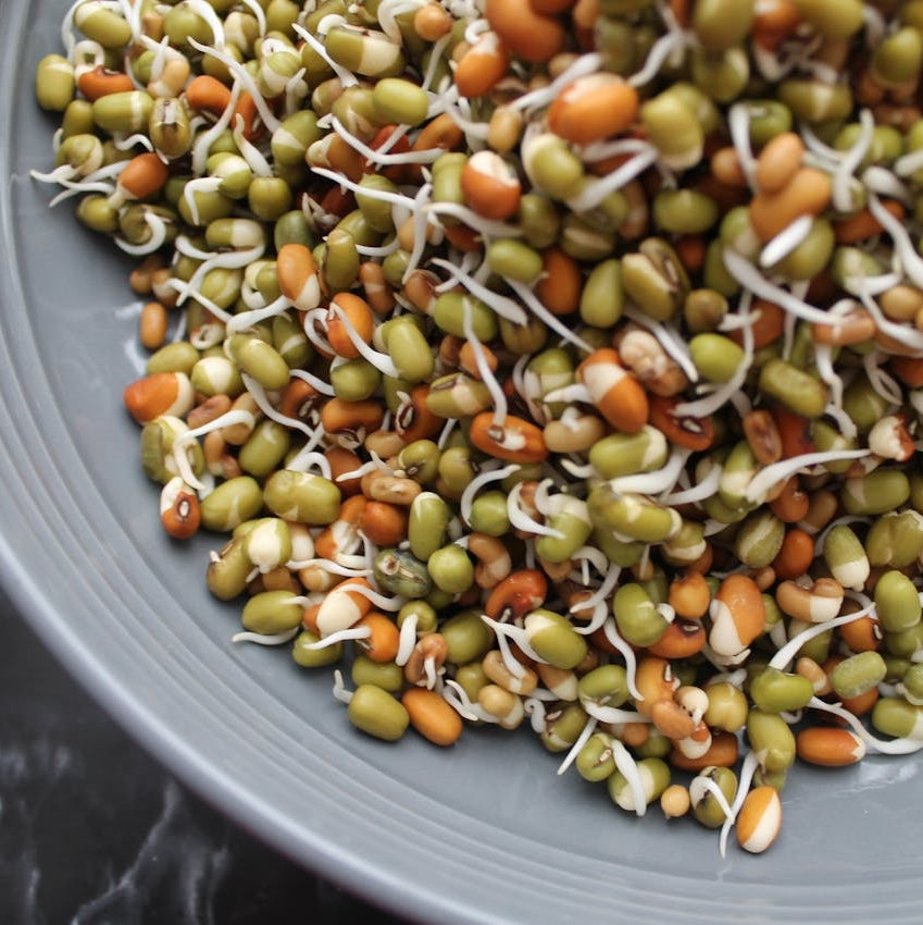 Plant-Based Protein Meals: Easy Recipes & Complete Meal Plans